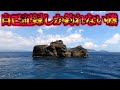 鵜来島のバケモノ達をハリス20号で黙らせろ!