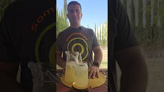 Lebanese Lemonade Lime Limon Juice Sugar Ice Garnish Lime