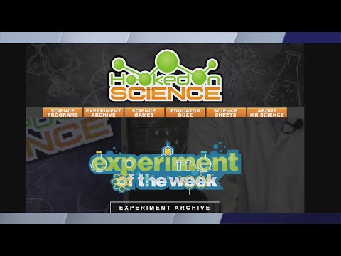 Summer Science Experiments to do with the Kids!
