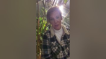 ACIM LESSON 3: I do not understand anything I see