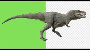 T-REX Dinosaur Green Screen Loop Animation
