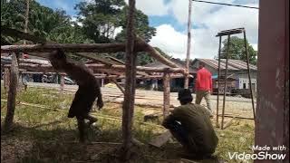 di rantau urang, Damianus media