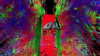 Diffusion Data Applied To Cognitive Processes Neuropsychological Tractography