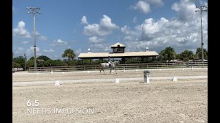 USEF Dressage Second Level Test 2--with judge scores and comments