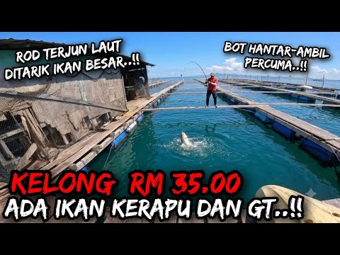 Memancing di Kelong RM 35.00 | Pertama Kali Datang Rod Dah Terbang..!!