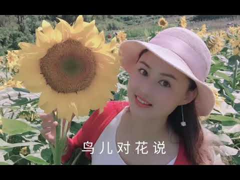 鸟儿对花儿说    演唱 : 胡蜜丹
