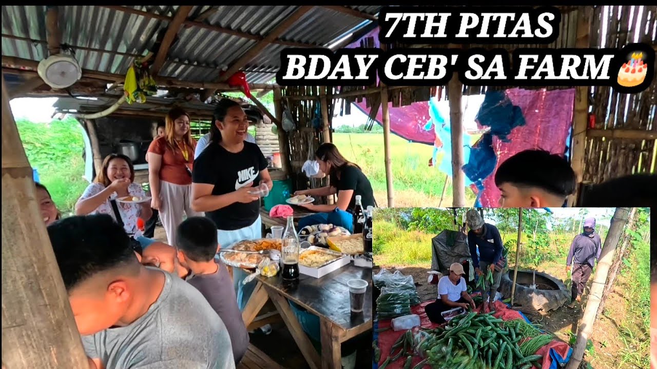 7TH PITAS NG AMPALAYA GAWAN PA NATIN NG PARAAN ,BDAY CEB ,SA FARM MGA BISITA NI MISIS🎂🙏✌️