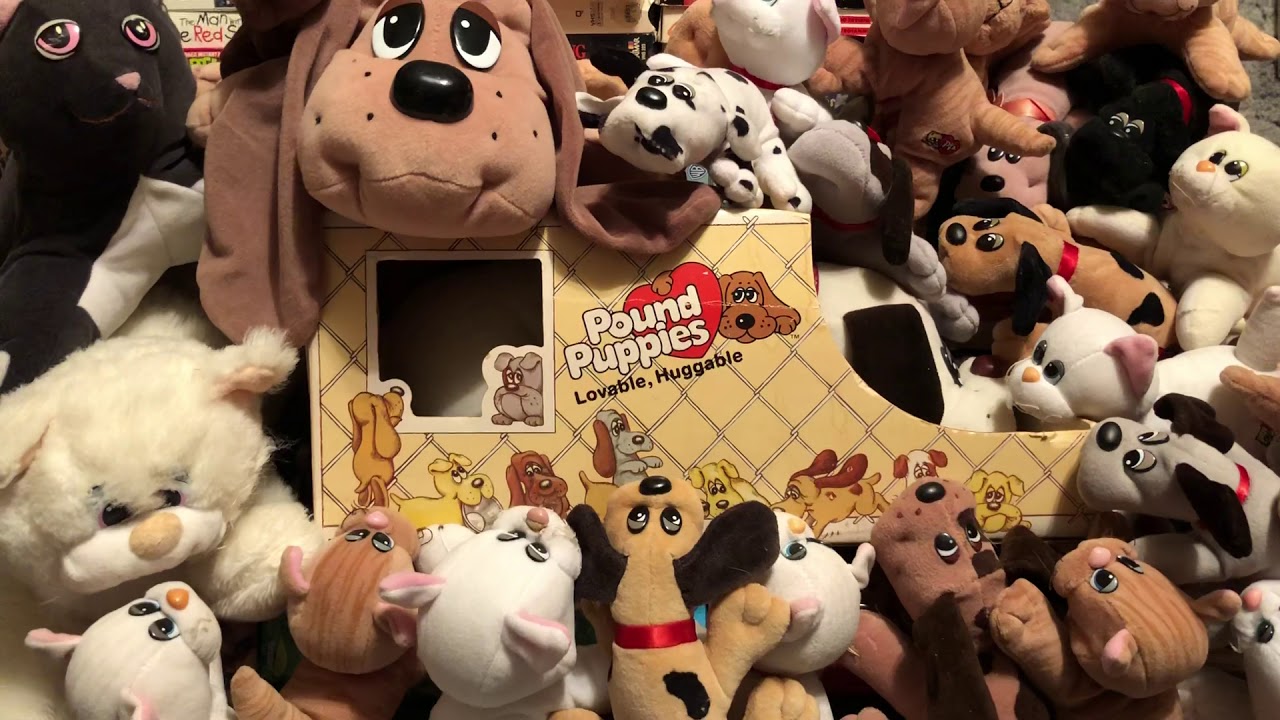 80’s TOY of the Day: Pound Puppies & Purries# PoundPuppies #Tonka #Toys...