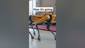 The next step for Spot #bostondynamics #robotics