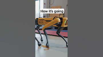 The Next Step For Spot Bostondynamics Robotics 