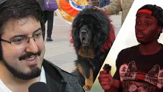 PUPPY!!! [Casual Geographic]