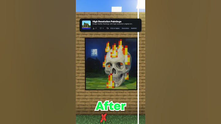 The MOST Realistic Paintings In Minecraft!