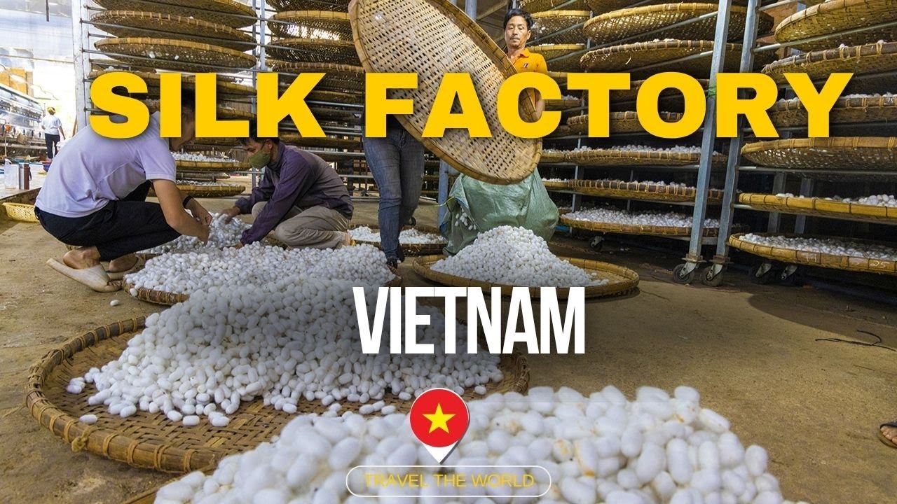 Inside the Silk Factory of Da Lat, Vietnam | Modern Silk-Making Process