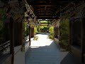 A windy afternoon on the Taihei-kaku covered bridge at Heian-jingu shrine in Kyoto, Japan.