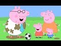 Peppa Pig en Español Episodios completos Los Deportes con Daddy Pig  | Pepa la cerdita
