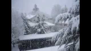 Winter Storm Warning Lake Stevens Washington Jan 17th 2012