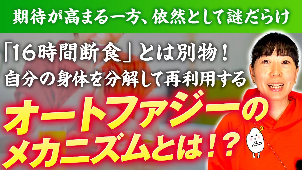 【1日絶食→肝臓約７割に縮小】オートファジー理論▶︎公式発表は『期待が高まる一方、基本メカニズムは依然謎だらけ』と知ってますか？健康効果が未だ証明されていない事実【16時間断食ダイエット】【お米生活】