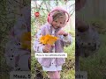 Meea, 5, teki löydön, joka hämmästytti kokenuttakin sienestäjää