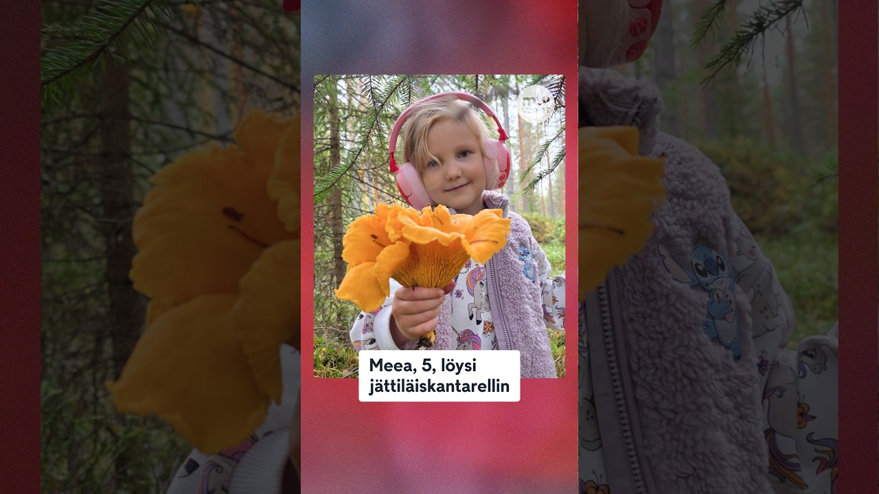 Meea, 5, teki löydön, joka hämmästytti kokenuttakin sienestäjää