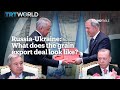 Russia-Ukraine: What does the grain export deal look like?