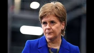 Nicola Sturgeon gorilla moment