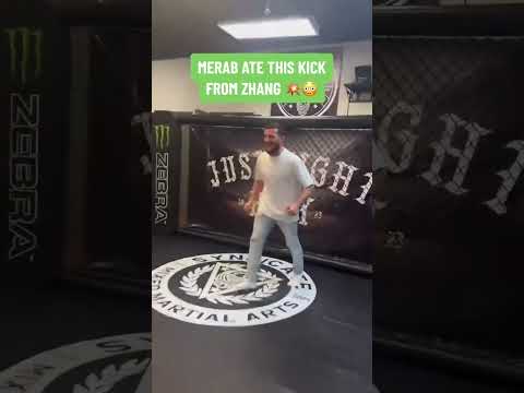 Merab Ate This Kick From Zhang Via Merab Dvalishvili IG 