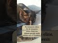 senden başka kimseye muhtaç etme Allahım