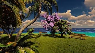 Shedding Leaves On The Beach Stock Motion Graphics