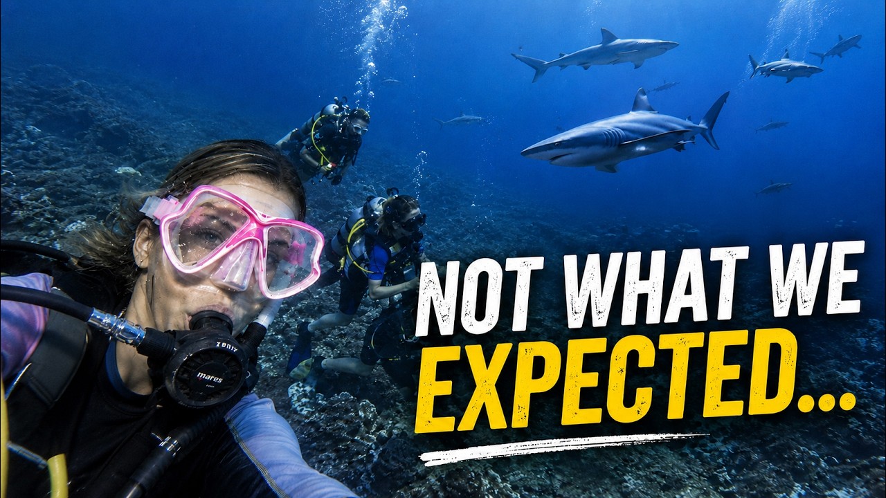 We Came for Fakarava’s Wall of Sharks — But Left With Something More