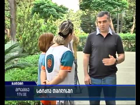 „ნაცმოძრაობა“ ხელისუფლებას დახმარებას სთავაზობს
