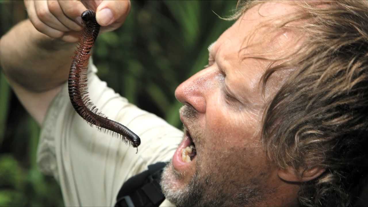 Helmut Pichler, das Portrait!