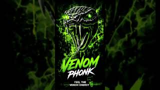 VENOM IN MY VEINS | Aggressive Drift Phonk
