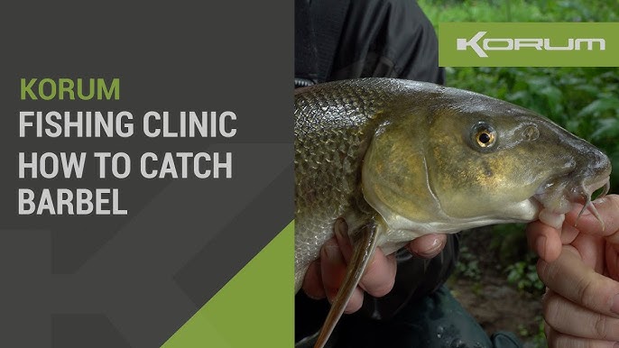 STICK FLOAT FISHING FOR CHUB WITH KORUM GLIDE 