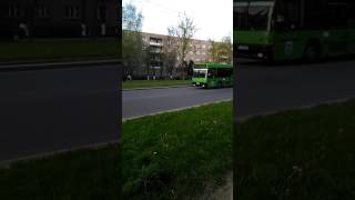 МАЗ 105