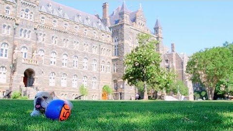 Meet the Georgetown Stories Class of 2016-2017