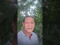 a tempo pra todas as coisas