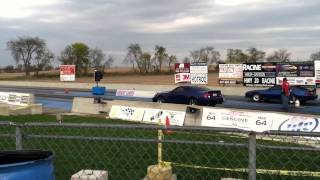 Evo and cobra at gld track