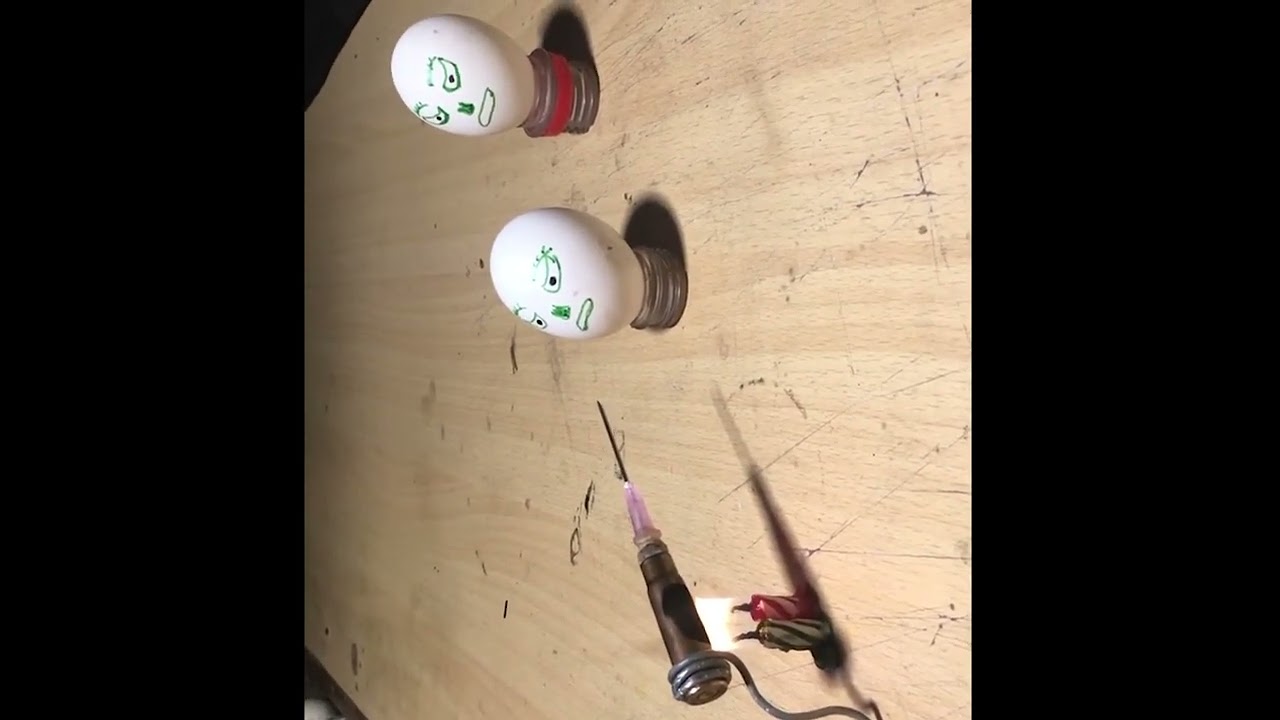 Jaw-Dropping Experiment: Bullets vs Eggs Test 