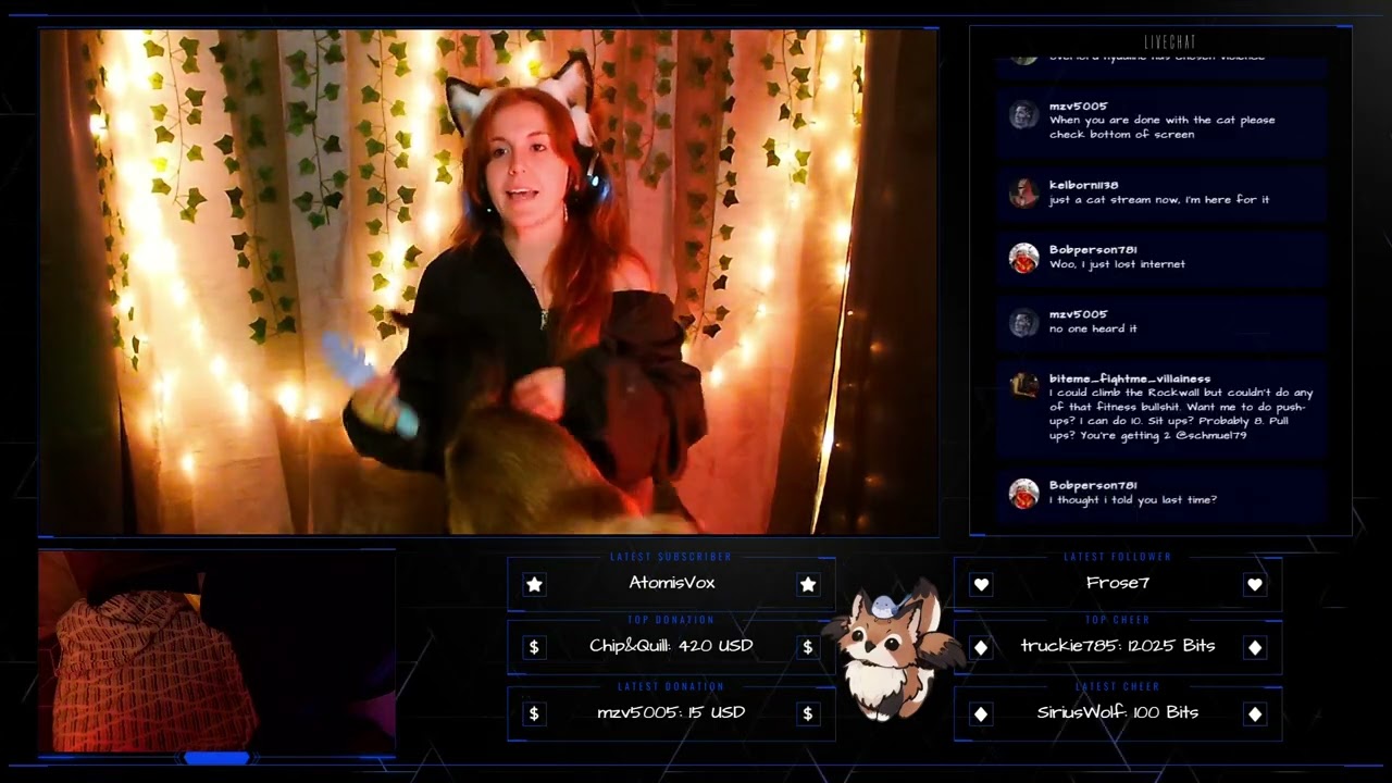 Cat Co-Host Takeover | BATHTIME | Zoo Showcase