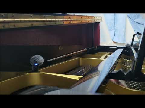 New everlasting love --- Piano Solo (Easy) - Wan Fang