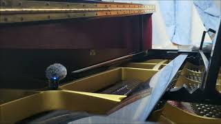 New everlasting love --- Piano Solo (Easy) - Wan Fang