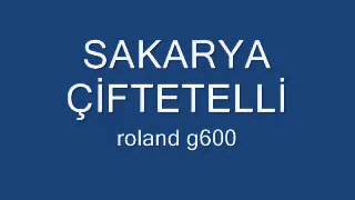 çiftetelli sakarya