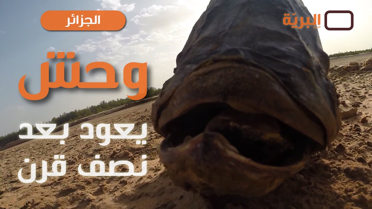 وحش يعود بعد نصف قرن