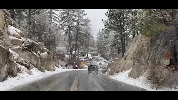 ❄️All SNOW Baby. Big Bear enjoying SNOW and it is getting Heavier Looking gorgeous out here. 1/20/24