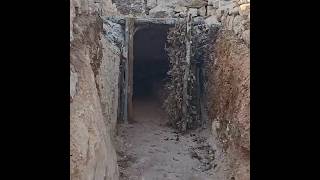 Building A Large Underground Shelter With Fireplace Winter Bushcraft Survival & Cooking Asmr