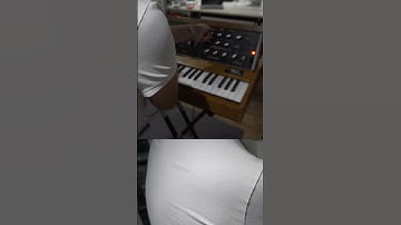 Minimoog Model D – Vintage vs Reissue – 1979 vs  2016 – Famous Sounds