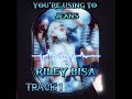 Riley bisajeans visualizer