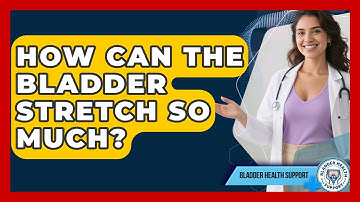 How Can The Bladder Stretch So Much? - Bladder Health Support