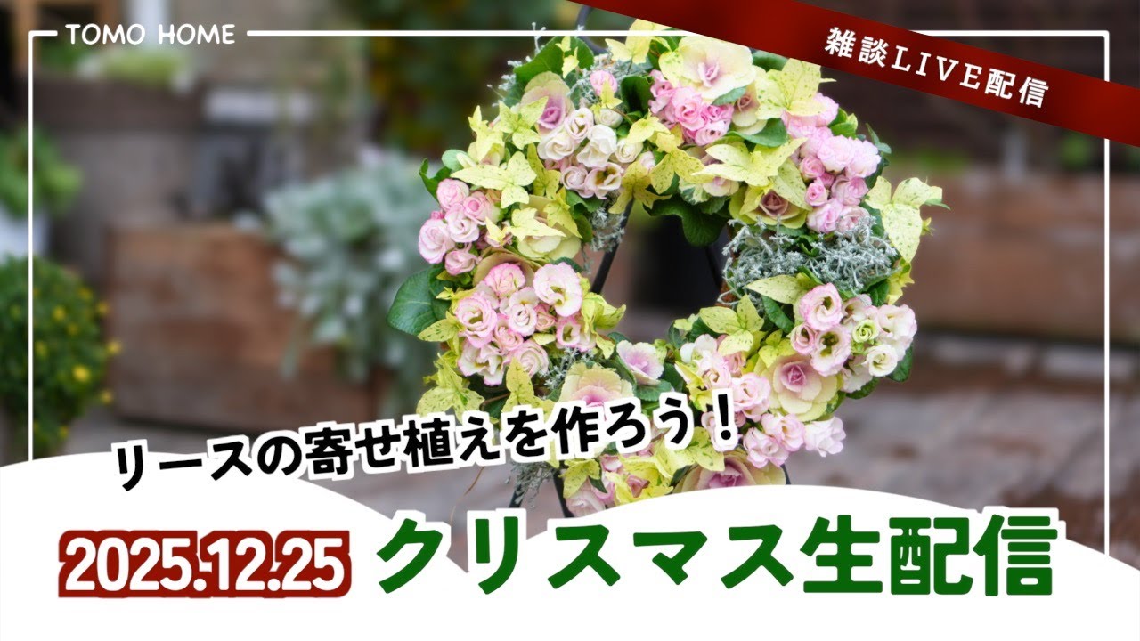 12/25 21:30〜】ともHOMEクリスマス配信・リースの寄せ植えを作りたい