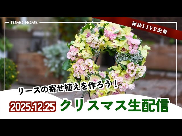12/25 21:30〜】ともHOMEクリスマス配信・リースの寄せ植えを作りたい